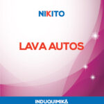 lavaAutos